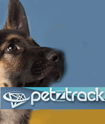 Petztrack-dogtags
